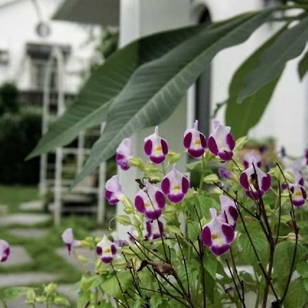 Hasayaki Homestay Szanhszing Kültér fotó