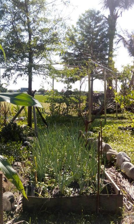 Hasayaki Homestay Szanhszing Kültér fotó