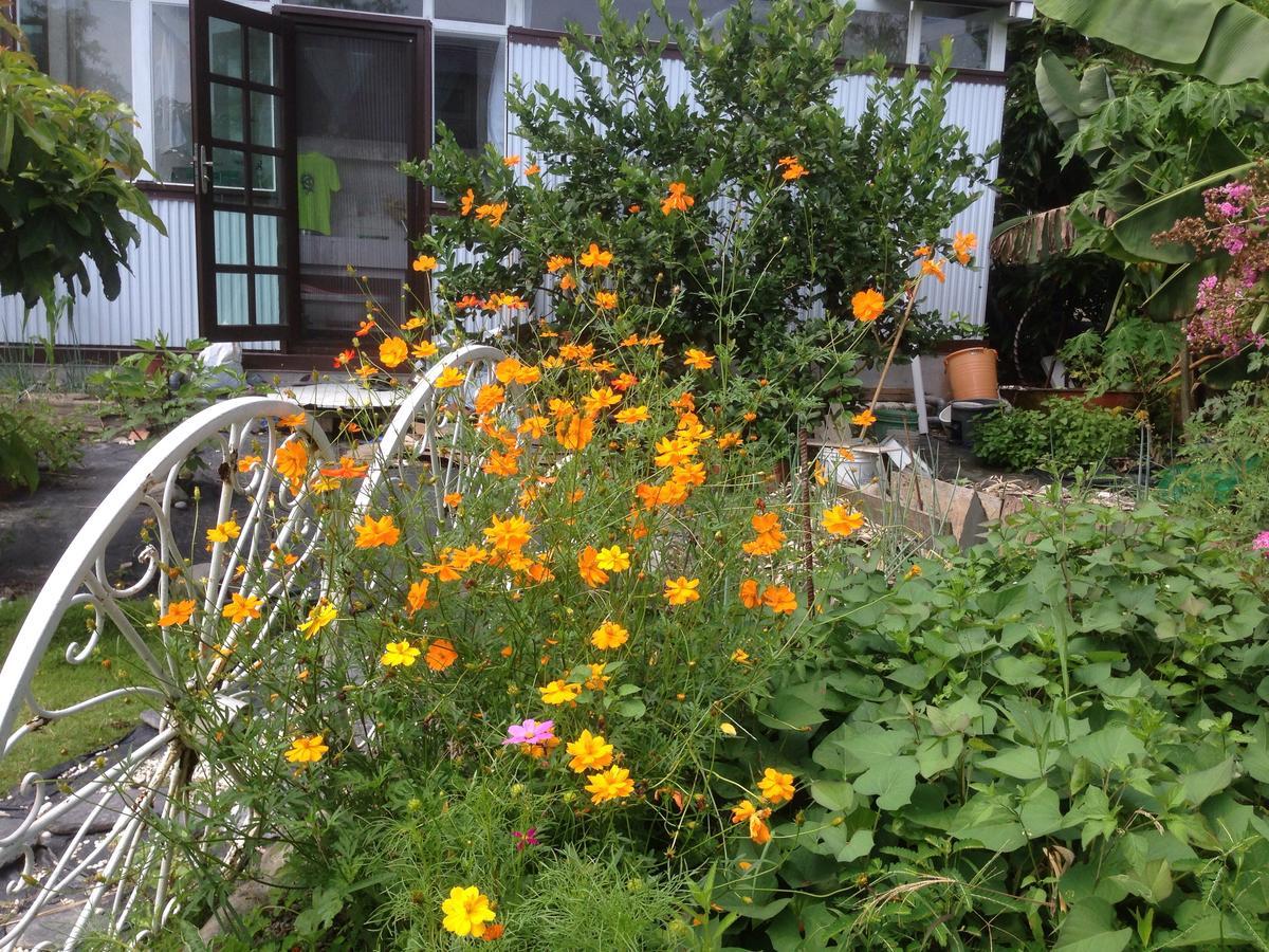 Hasayaki Homestay Szanhszing Kültér fotó