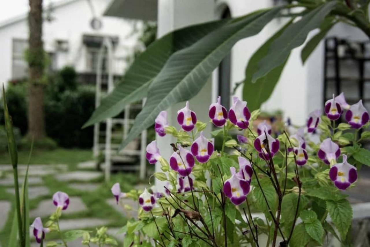 Hasayaki Homestay Szanhszing Kültér fotó